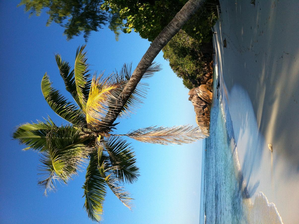 Villas Du Voyageur Grand Anse  Extérieur photo