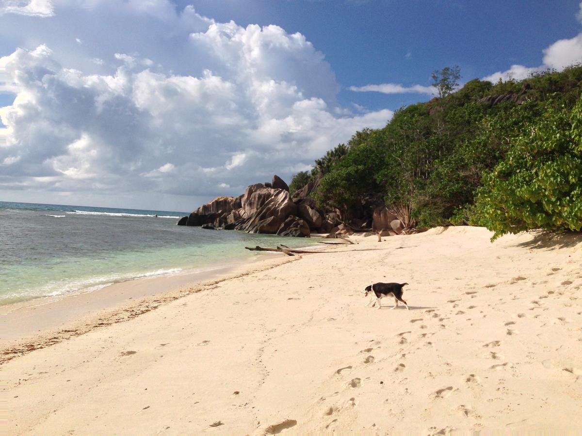 Villas Du Voyageur Grand Anse  Extérieur photo