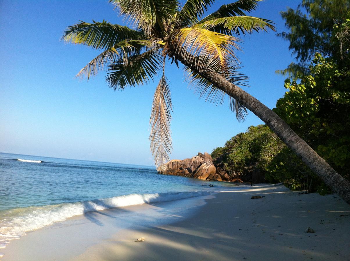 Villas Du Voyageur Grand Anse  Extérieur photo