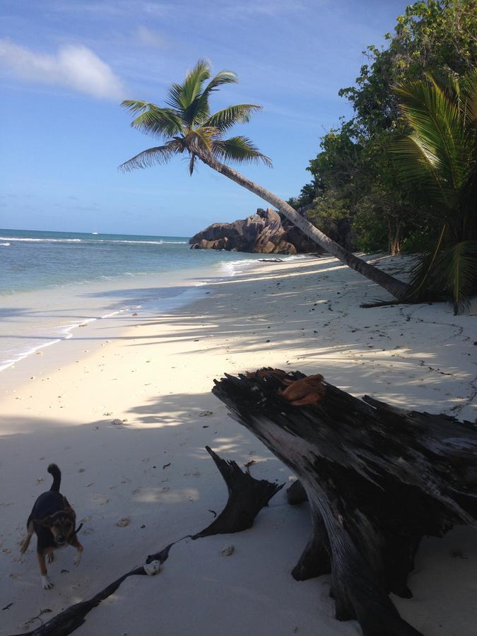 Villas Du Voyageur Grand Anse  Extérieur photo